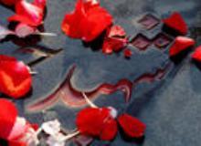 Anti-Islam Terrorists Martyr 2 Shia Muslims in Pakistan