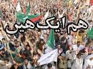 Shia Muslims worldwide awakening in the wake of target killi...