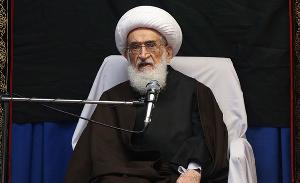 Ayatollah Noori Hamedani condemns brutal killing of Pakistani Shiite miners